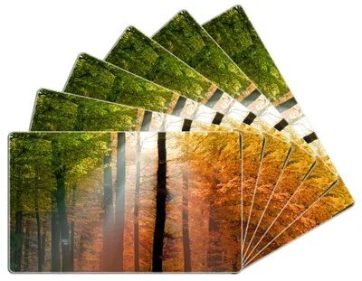 Produktbild von Wallario Frühstücksbrettchen 6er Set aus Glas, je 14 x 23 cm, mit rutschfesten Füßen, Motiv Sonnenuntergang im Herbstwald