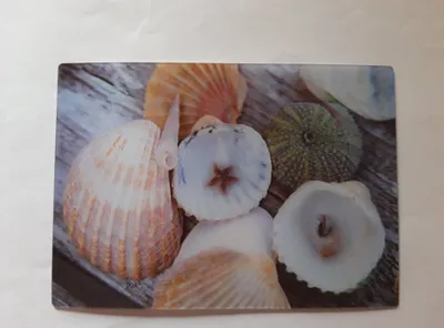 Produktbild von 3 D Ansichtskarte Muscheln, Postkarte Wackelkarte Hologrammkarte, Muschel