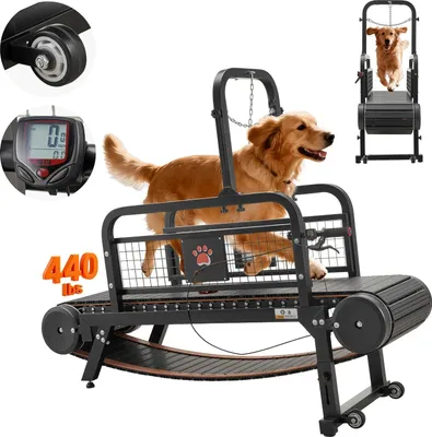 Produktbild von Hundelaufband - Laufband für Hunde - Für mittelgroße & große Hunde - Tragkraft bis 200 kg - Stufenlos verstellbar - Steigung einstellbar - Bremse & Rollen - 1910x570x1400 mm