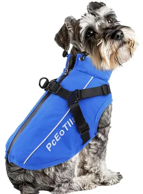 Imagen del producto de Arnés para perros pequeños: impermeable y reflectante