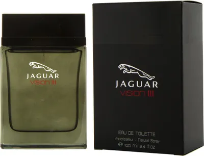 Obrázek produktu pro Jaguar Vision III, Pánské, 100 ml, Bergamot, Kardamom, Citrón, Jasmín, Mořský, Ananas, Pačuli, Santalové dřevo, Tonkové boby, Sprej