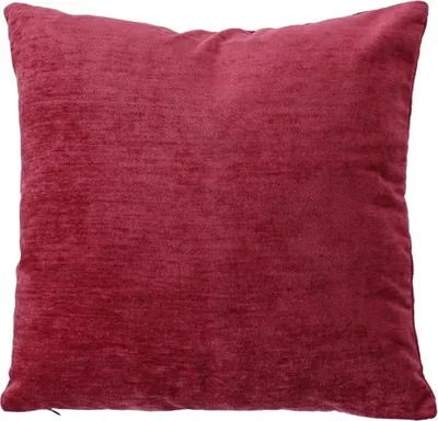 Image de Coussin velours Velvet