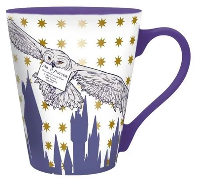 Productafbeelding van HARRY POTTER - Mok - 250 ml - Brief van Hogwarts - kartonnen verpakking