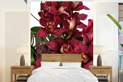Produktbild von Fotobehang Rote Orchideen auf Weiß - Breite 160 cm x Höhe 220 cm
