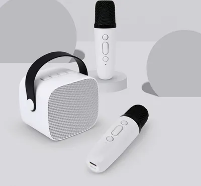 Image de Enceinte Bluetooth 5W avec 2 Karaoké sans fil WH