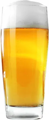 Produktbild von Bierglas - Pintglas - 510 ml (0,5 l) - 0,5 Liter - Hohe Form - Klarglas