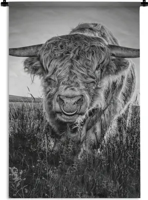Produktbild von MuchoWow® Wandteppich Wandbehang Schottischer Highlander - Schwarz und Weiß 60x90 cm Tapisserie Dekoration Wandtuch - Foto-Teppich - Abwaschbar