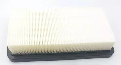 Immagine prodotto di Filtro HEPA per DED7075, DED7174