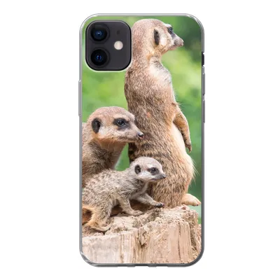 Produktbild von MuchoWow® Handyhülle Schutzhülle Hülle für iPhone 12 mini Erdmännchen - Baumstumpf - Jungtier Silikon Softcase Handy Hülle - Bild