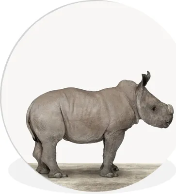 Produktbild von MuchoWow® Rundes Wandbild - Runde Bilder Rhinozeros - Tiere - Jungen - Mädchen Ø 90 cm Kreis Wanddekoration Kunststoff - Wandkreis - Wandschmuck - Wand-Kreis - Wohnzimmer - Bild - Runde - Wanddeko - Dibond - Kunstdrucke