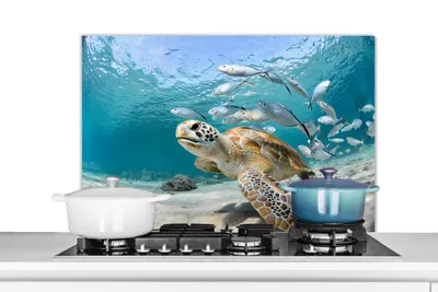 Produktbild von KitchenYeah® Spritzschutz Küche - Küchenrückwand - Wandschutz für Herd und Spüle - Schildkröte - Fisch - Meer 80x55 - Alu-Dibond (Alternative zum Spritzschutz aus Glas) - Hitzebeständig - Herdspritzs