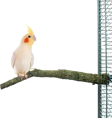 Produktbild von Natur Kork Vogel-Sitzstange · Small