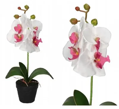 Produktbild von Künstliche Orchidee in Topf, 38 cm