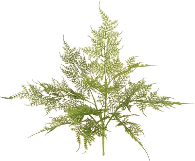 Produktbild von Künstlicher Farn Grün Beflockt 45cm Dekoration Kunstpflanze