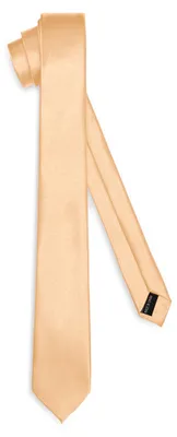 Produktbild von Klassische Herren Krawatte glänzend Vielfältige Farben TMS-6 150cmx6cm
