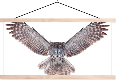 Produktbild von MuchoWow® Textilposter Fliegende Eule 60x30 cm mit holzfarbenen Rahmen - Dekoration