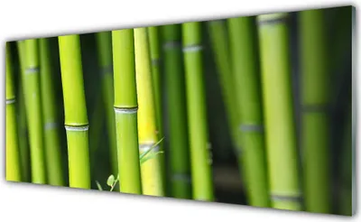 Produktbild von Acrylglasbilder 125x50 Wandbild Druck Bambusrohr Natur