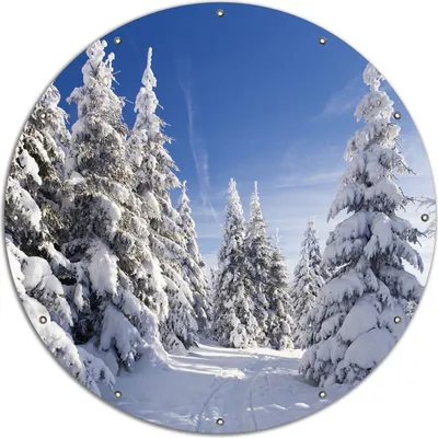 Produktbild von Wallario rundes Outdoor-Poster für Garten oder Balkon, Motiv Wanderweg im Schnee, 120 cm Durchmesser