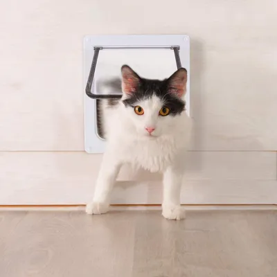 Produktbild von Katzenklappe mit 4-Wege-Magnetverschluss Haustür für Katzen und kleine Hunde mit Tunnel