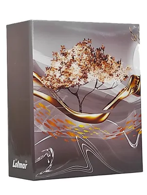 Image de VMC ALBUM pour 304 photos 10x15 cm. pas de description MYSTIC gris
