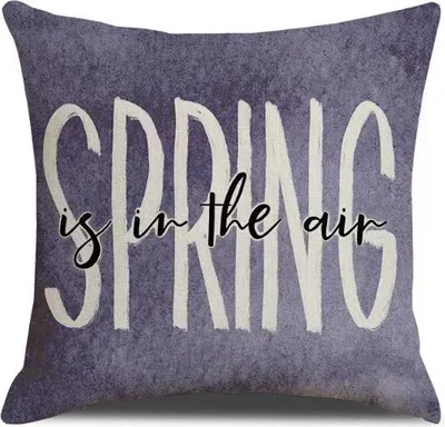 Imagen del producto de Cojín Loungge, color morado, talla única