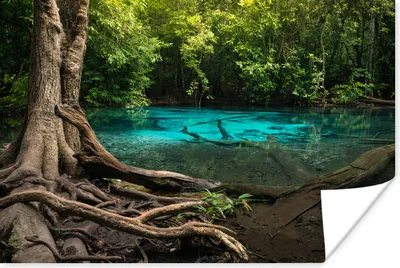 Produktbild von MuchoWow® Poster Leuchtend blauer Bach inmitten der Regenwälder Thailands 120x80 cm - Bilder