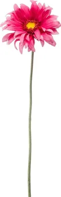 Produktbild von artplants.de Kunstblume Gerbera BILFON, pink, 50cm - Künstliche Blume
