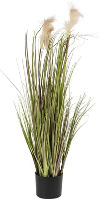Produktbild von LIVARNO home Kunstpflanze Seegras Ø 17 x H 120 cm Polyester Innengebrauch