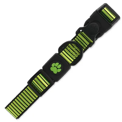 Obrázok produktu pre Obojok DOG Strong lime L 1 ks