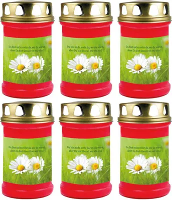Produktbild von Grabkerze Rot 6er Pack, Brenndauer: 48 Stunden ( je Kerze ), Motiv: Gänseblümchen