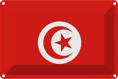 Produktbild von vianmo Blechschild 12x18 cm Tunesiens Tunisia Flagge Fahne Wappen