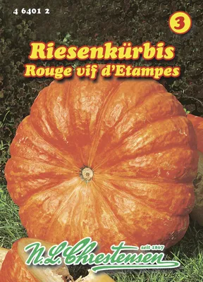 Produktbild von Riesenkürbis Rouge vif d' Etampes | Riesenkürbissamen von N.L. Chrestensen