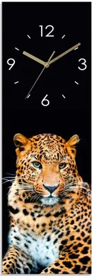 Produktbild von ARTland Glas Wanduhr Funkzuhr - goldene Zeiger Wütender wilder Leopard Größe: 20x60 cm