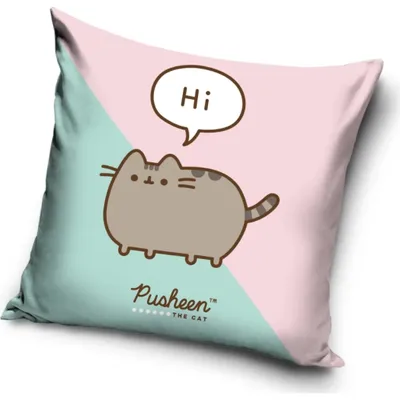 Obrázek produktu pro Povlak na polštářek Kočička Pusheen Já Košišta