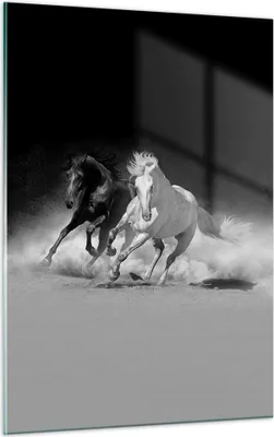 Produktbild von Bilder auf glas - Einteilig - Andalusier Pferde Galopp - 50x70cm - Glasbilder - Wandbilder - Bilder - zum Aufhängen bereit - Wanddekoration aus Glas - Glas Bilder - Wandbild auf Glas - GPA50x70-4240