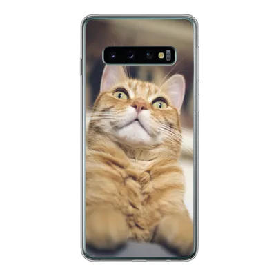 Produktbild von MuchoWow® Handyhülle Schutzhülle Hülle für Samsung Galaxy S10 Katze - Bank - Orange Silikon Softcase Handy Hülle - Handytasche