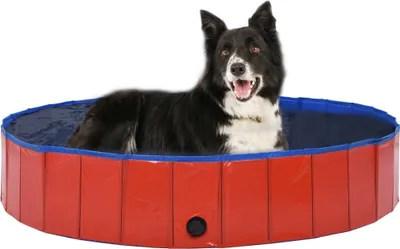 Produktbild von Hundepool Faltbar Rot 160 x 30 cm PVC
