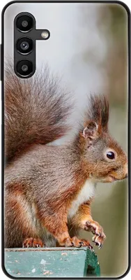 Produktbild von König Design Hülle kompatibel mit Samsung Galaxy A13 5G Kunststoff Soft Handyhülle - Handy Case Eichhörnchen