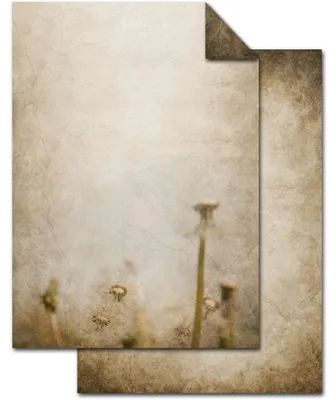 Produktbild von 100 Blatt Briefpapier VINTAGE PUSTEBLUME DIN A4 altes Papier braun beige natur Druckerpapier beidseitig bedruckt 100g Schreibpapier Motiv-Papier Brief-Bogen marmoriert25 Blatt