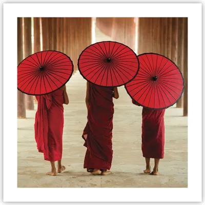 Produktbild von Poster - Poster ohne Rahmen - Bhutan Regenschirm Rot - 50x50 cm - Wand Bild - Wanddeko - Wandbilder - Kunstposter - Wandposter - Bilder - Kunstdruck - Wanddekoration - Wandbild - P2XAC50x50-4290