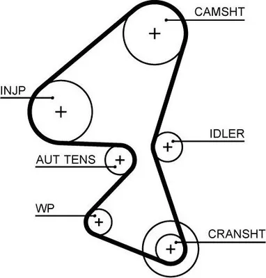 Image de Courroie dentée