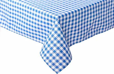 Produktbild von Landhaus Tischwäsche 10 mm Karo blau-weiß 110 x 160 cm