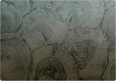 Produktbild von Holzmaserungen Struktur – Bodenschutzmatte – Stuhlunterlage 100x100 cm – Rutschfest – Hartbodenmatte
