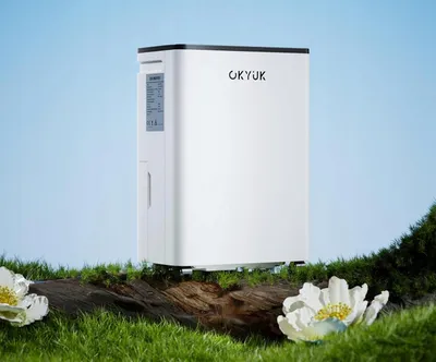Image de OKYUK Déshumidificateur électrique 10 L, silencieux (32 dB), pour salles de bains et caves jusqu'à 25 m²