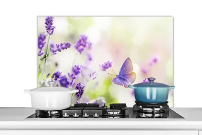 Obrázok produktu pre KitchenYeah® Kuchynský splashback - Kuchynský splashback - Ochrana steny sporáka a drezu - Levanduľa - Motýľ - Kvety 90x60 - Alu-Dibond (alternatíva skleneného splashbacku) - Tepelne odolný - Sporák