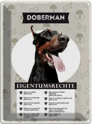 Produktbild von vianmo Blechschild 40x30 cm Doberman Eigentumsrechte Tier Haustier Hund