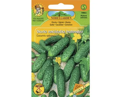 Zdjęcie produktu dla Ogórek REGINA F1 - hybryda