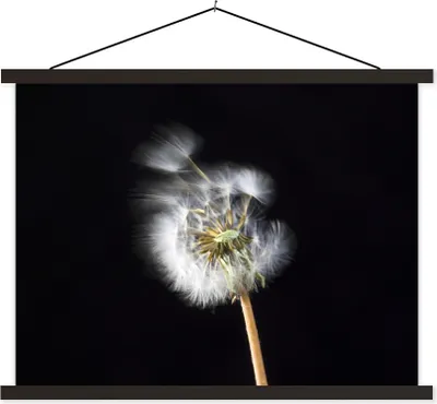 Produktbild von MuchoWow® Textilposter Eine Pollenblume auf schwarzem Hintergrund 60x45 cm mit schwarzem Rahmen - Poster Schlafzimmer