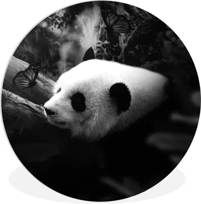 Produktbild von MuchoWow® Rundes Wandbild - Runde Bilder Tiere - Dschungel - Panda - Schwarz - Weiß Ø 60 cm Kreis Wanddekoration Kunststoff - Wandkreis - Wandschmuck - Wand Kreis - Das Schlafzimmer - Die Bilder - Wandmalerei - Kunst für das Haus - das Plastik