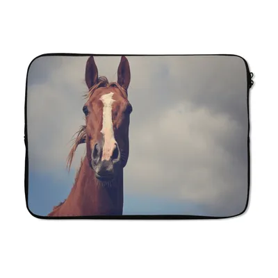 Produktbild von MuchoWow® Laptop Hülle 13 Zoll Pferd - Wolken - Porträt Laptoptasche - Laptophülle - Sleeve - Rundumschutz